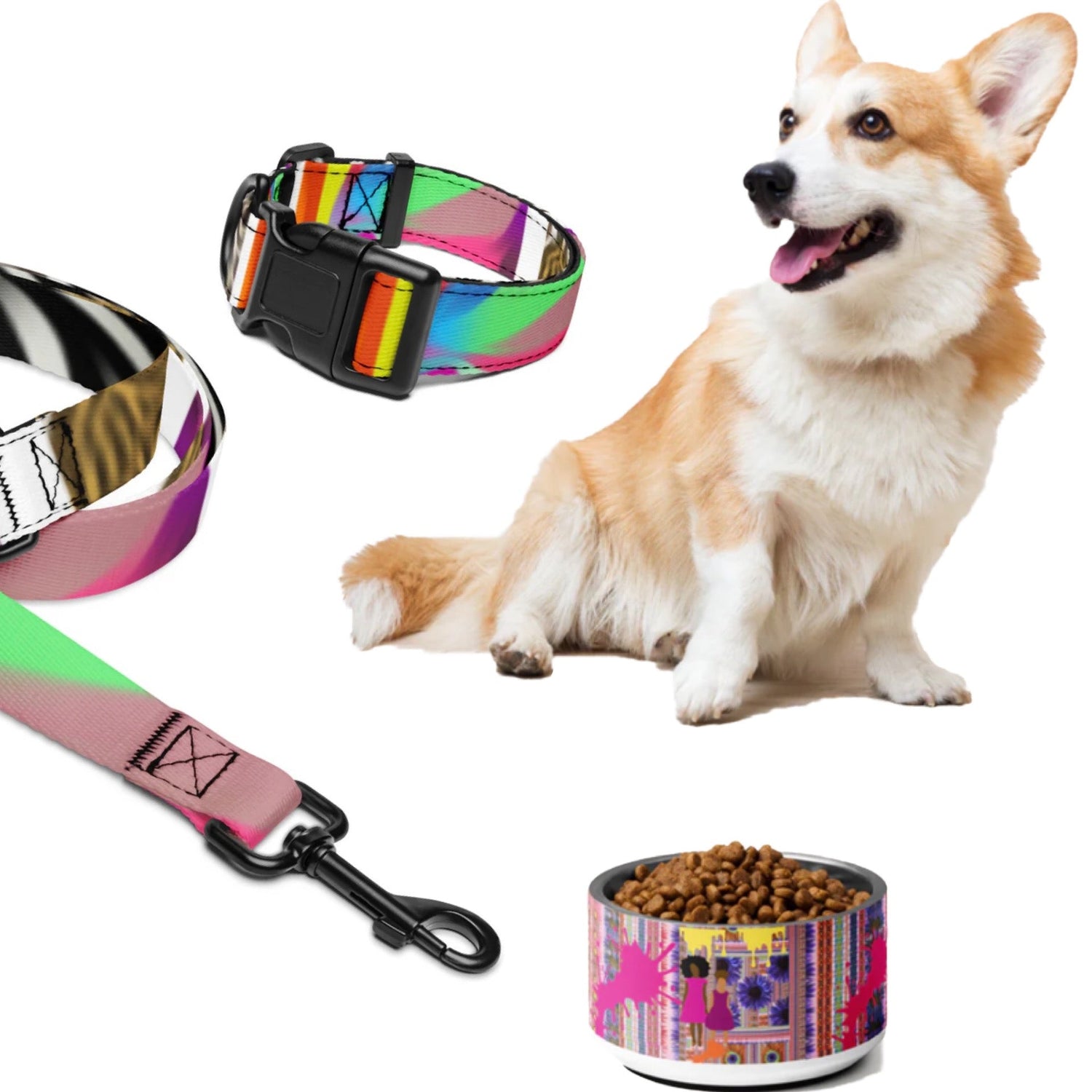 Pet Accessories